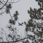 Crow wing state park