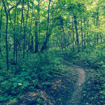 Fort ridgely state park