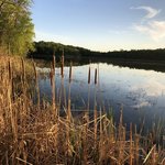 Maplewood state park