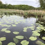 Maplewood state park