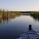 Rice lake state park