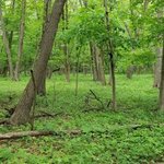 Rice lake state park