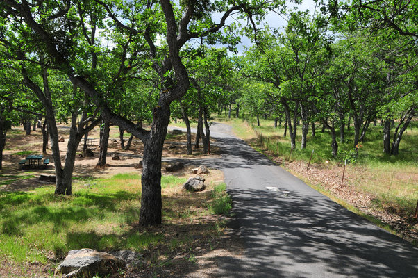 Oak Slope Campground photo 2