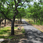 Oak slope campground
