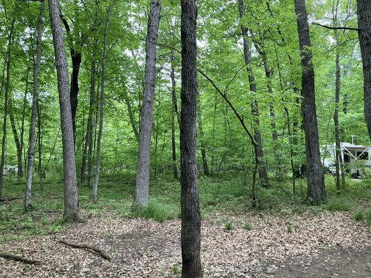 Wild River State Park photo 2