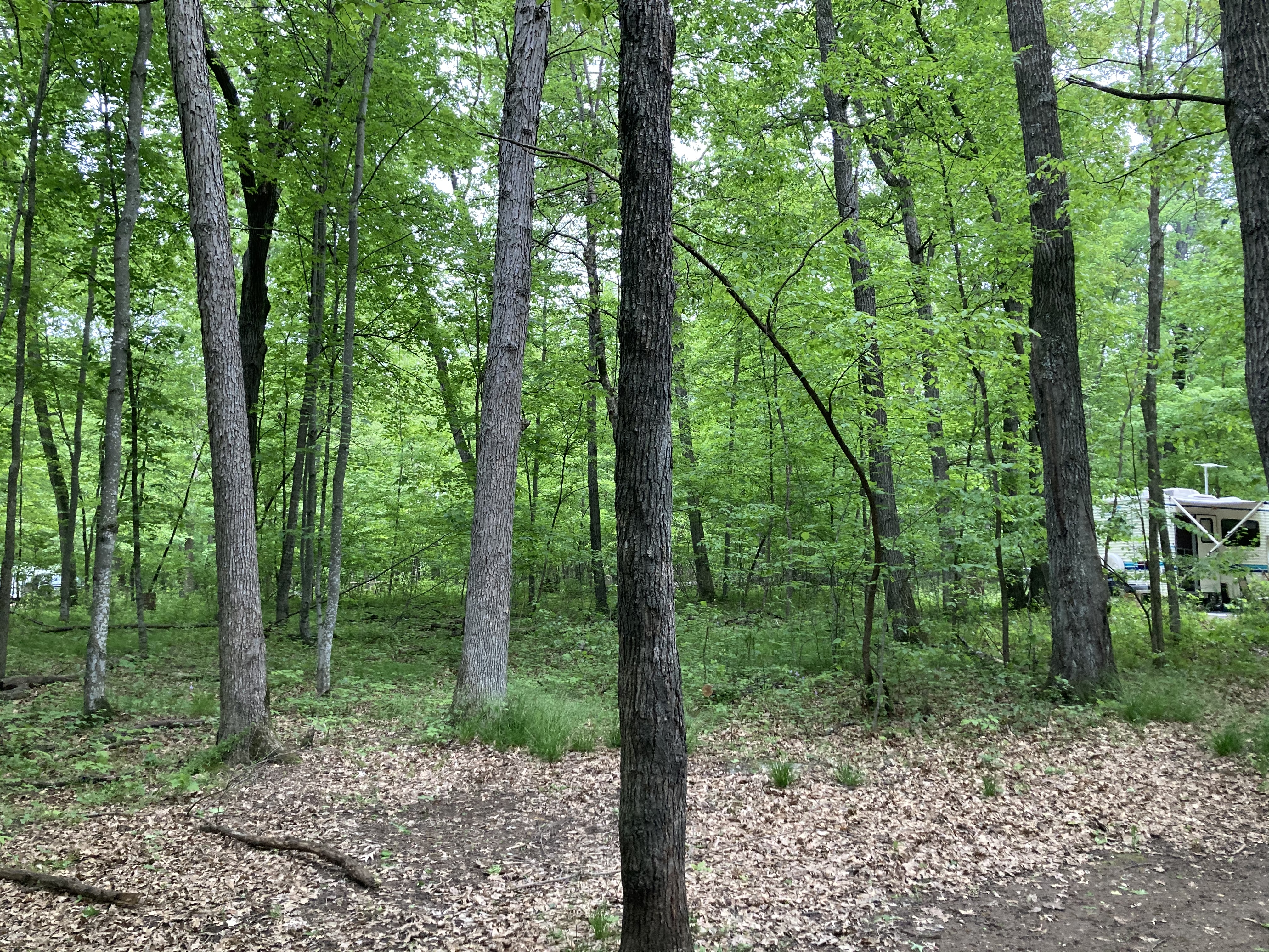 Wild River State Park - Main photo