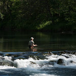 Bennett spring state park