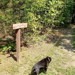 Berryman campground