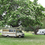 Okanogan county fairgrounds rv park