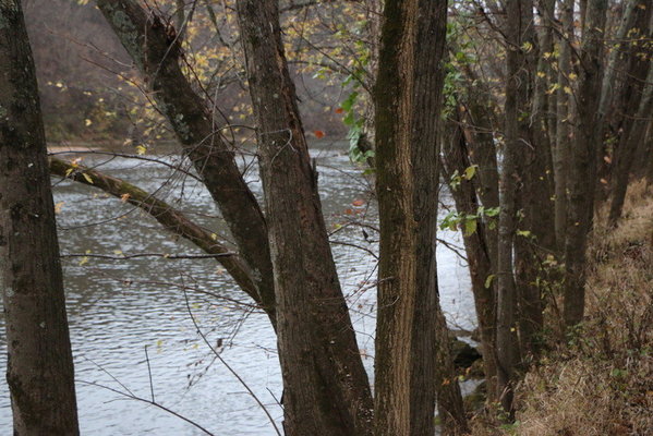 Meramec State Park Reviews
