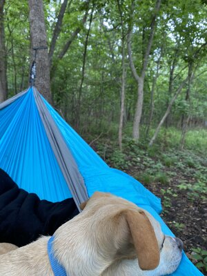 Osage Bluff Campground Reviews Updated 2021