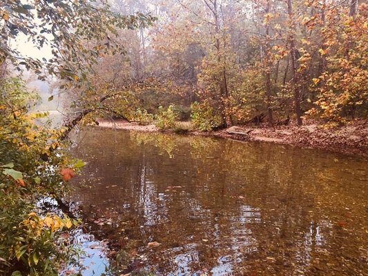 Paddy Creek Recreation Area photo 2