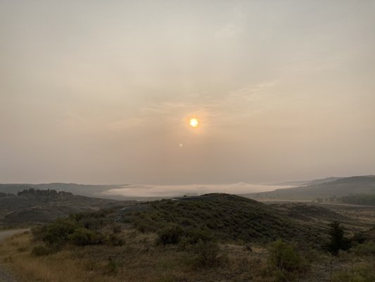 Bennett photo 2
