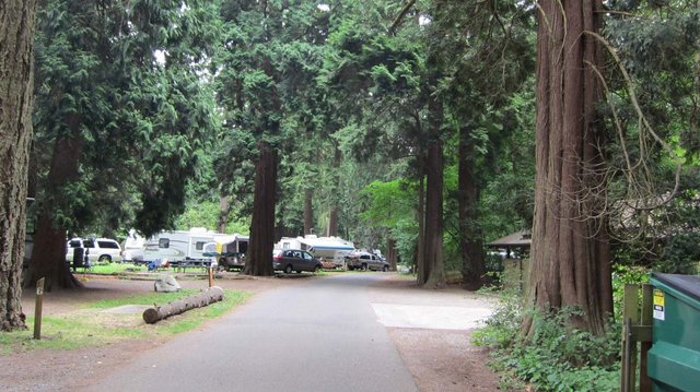 Birch Bay State Park photo 2