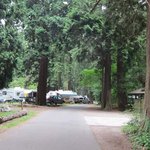 Birch bay state park