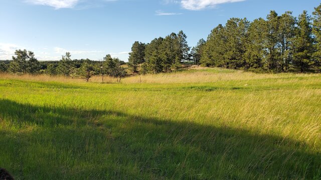 Cub Creek Reservoir 16B photo 2