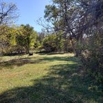 Whitetail campground nebraska nf