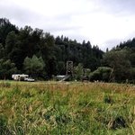 Tolt macdonald park campground