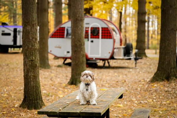Nimisila Reservoir Metro Park Campground