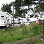 Twin cedars rv park