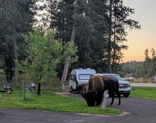 Legion Lake Campground