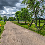 Lions city park