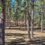 Stockade lake south campground
