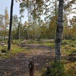 Birch grove wisconsin