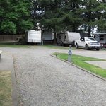 Lynden bellingham koa