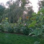 Hidden village rv park campground