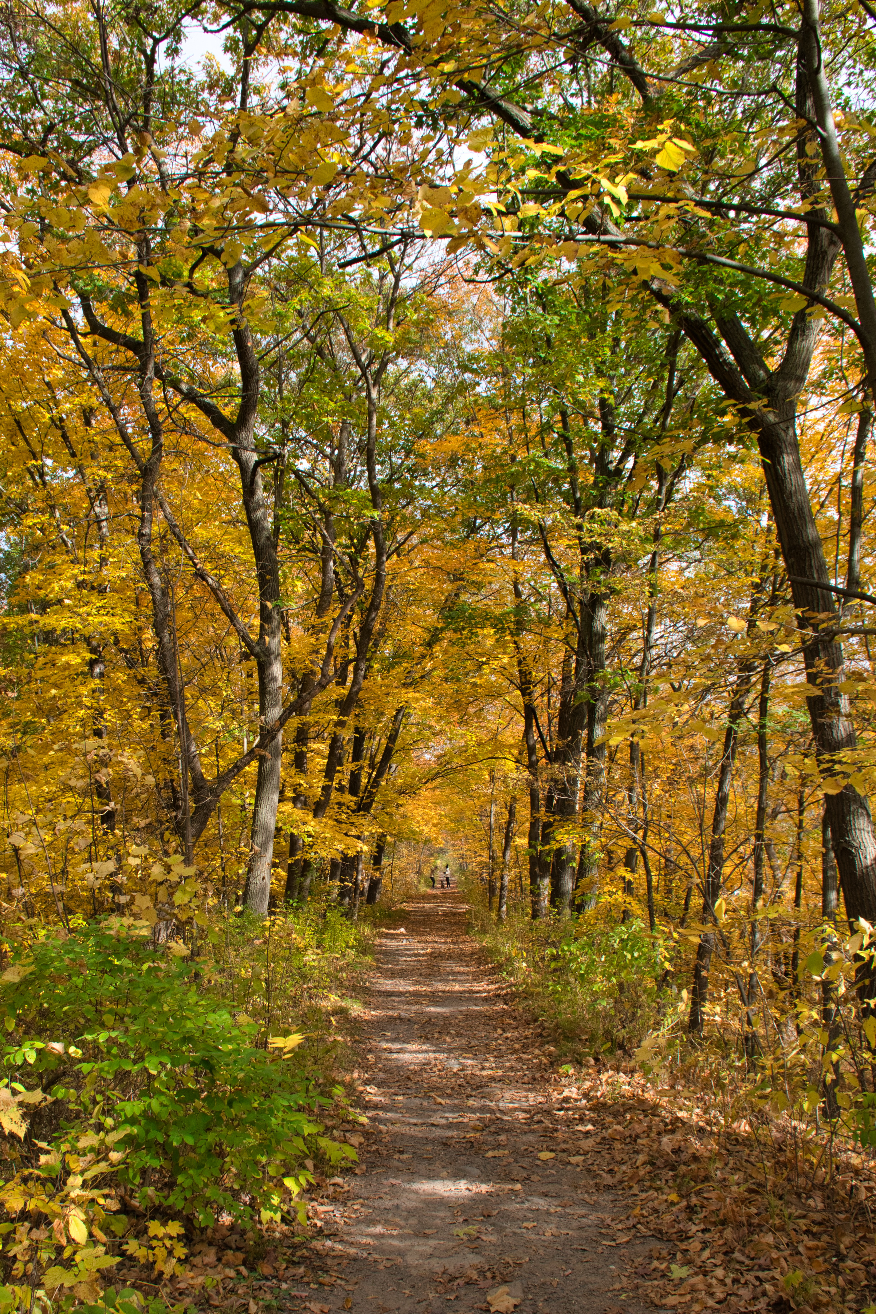 North Campground