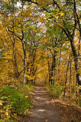 North Campground