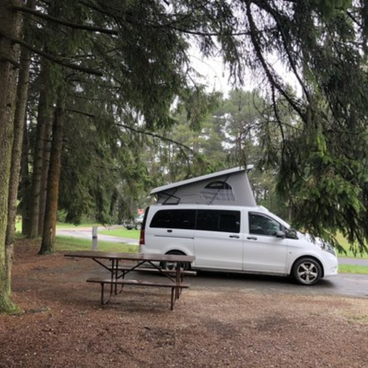 Kohler-Andrae State Park