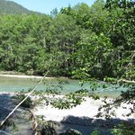 Silver fir campground
