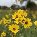 Lake farm county park