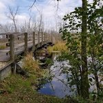 Mauthe lake