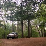 Mill bluff state park