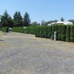 The cedars rv resort