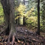 Peninsula state park