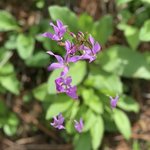 Perrot state park