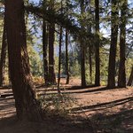 Early winters campground