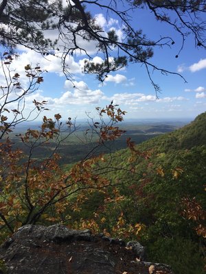 Cheaha State Park Reviews