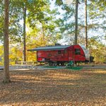 Forkland campground