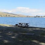 Shady pines resort