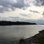Mcfarland park