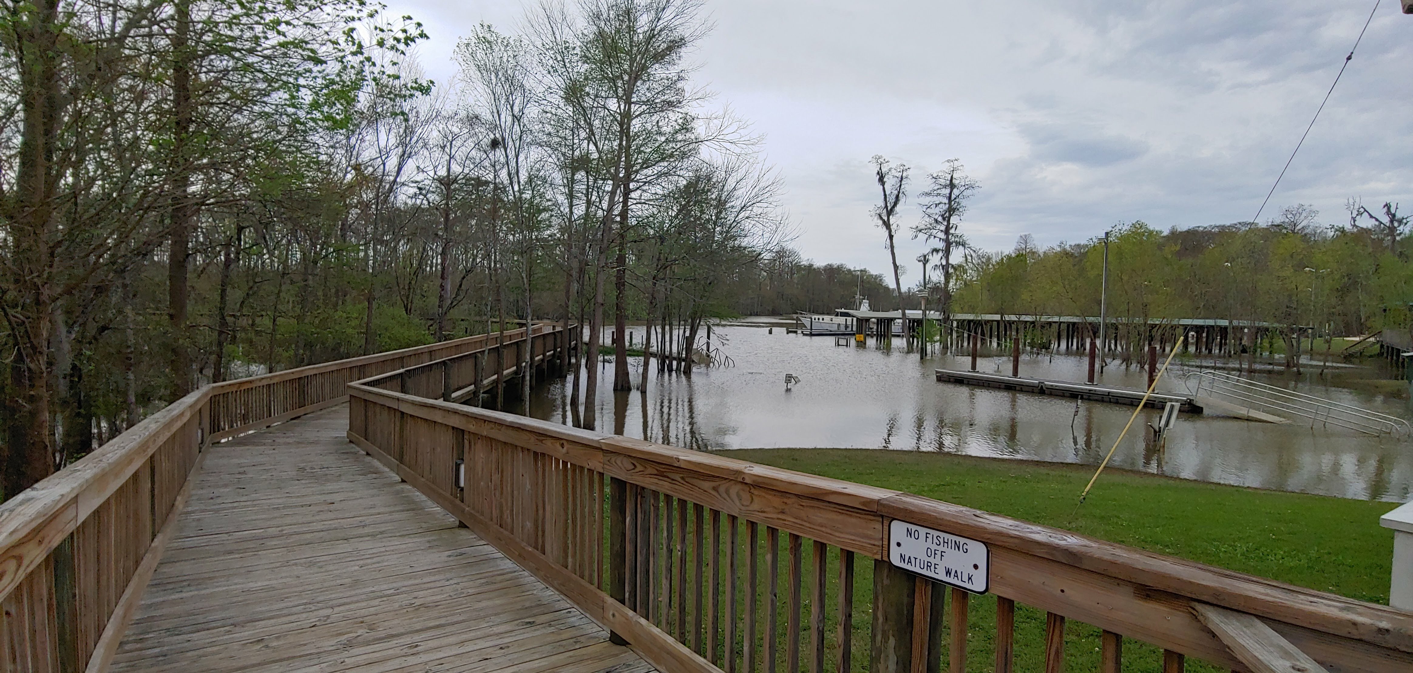 Mobile River Delta & Campground Reviews updated 2024