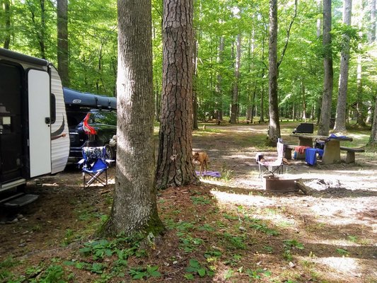 Pine Glen Recreation Area Reviews Updated 2022
