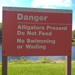 Beards lake