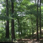 Cane creek state park