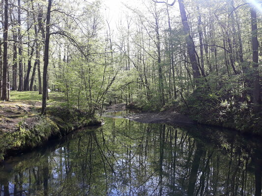Crystal Campground